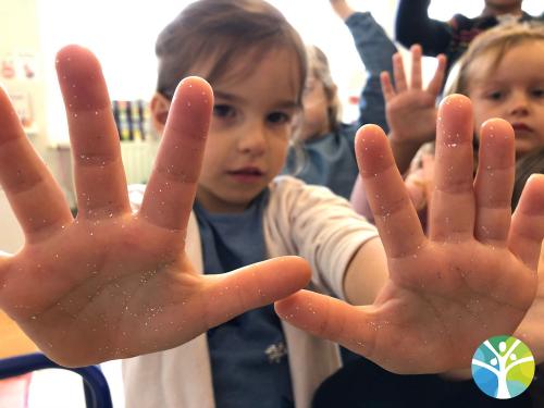 Nos expériences autour des microbes : MSGS A